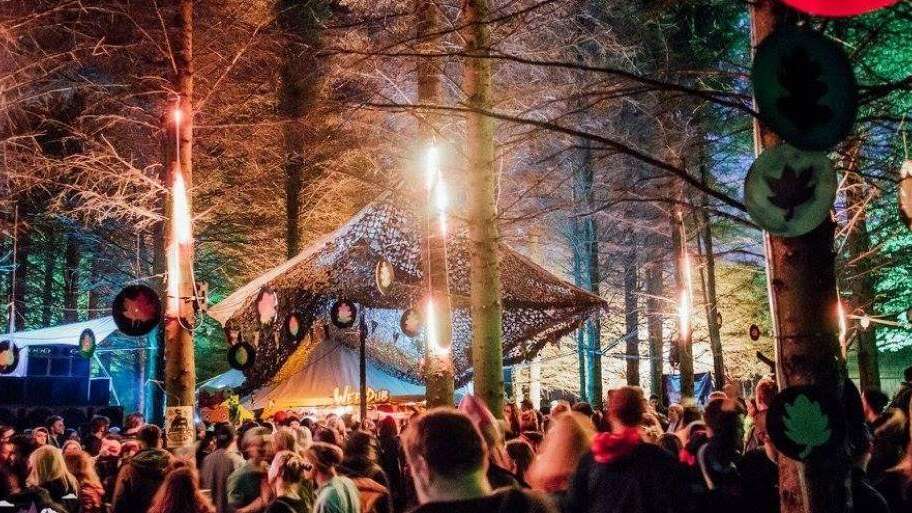 Woodland Dance Project