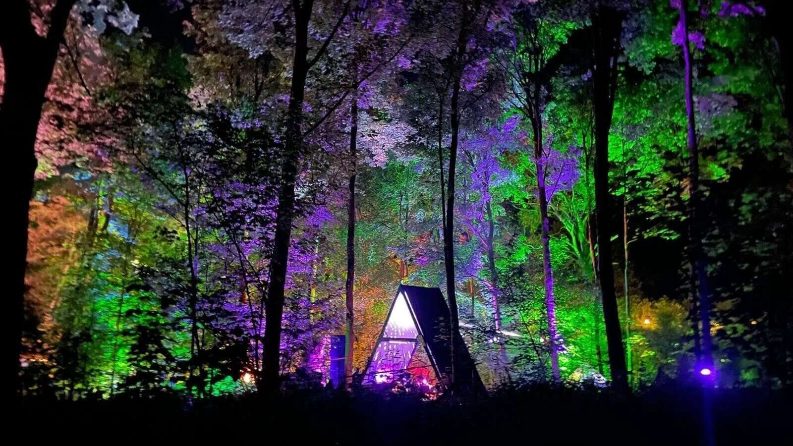 Watching Trees