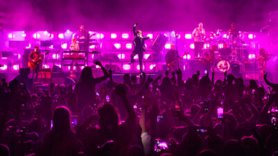 Pulp