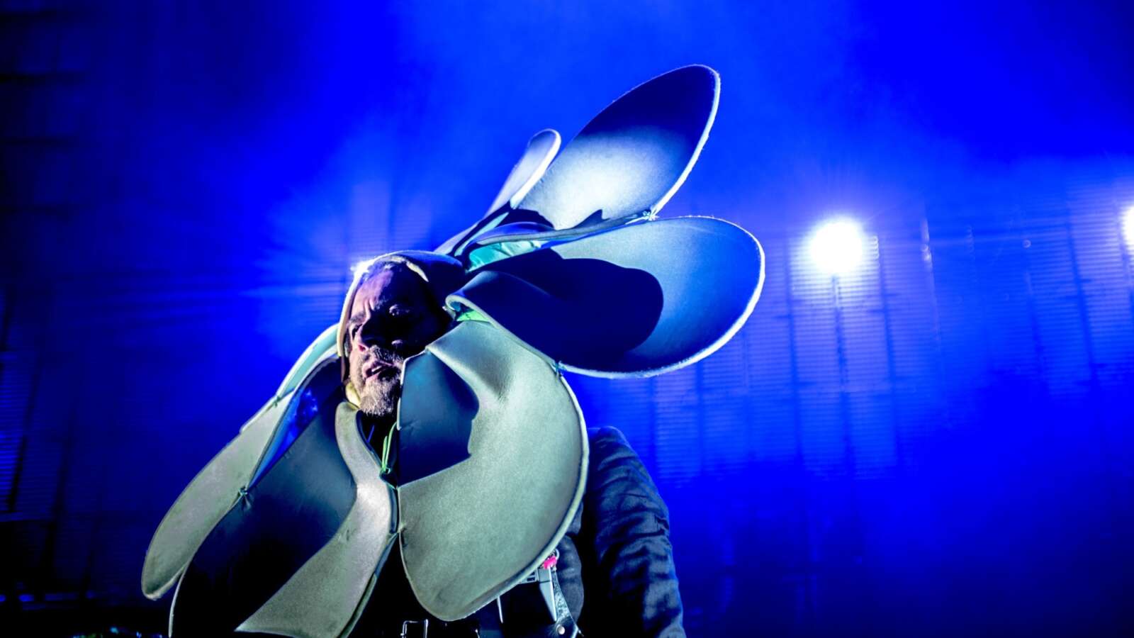 JJS 7974 sized JJS 7974 sized