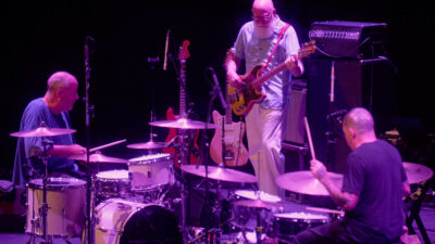 Tortoise