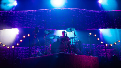 The Wombats